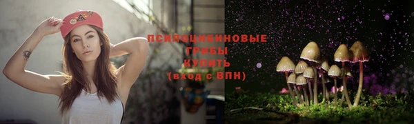 spice Новодвинск
