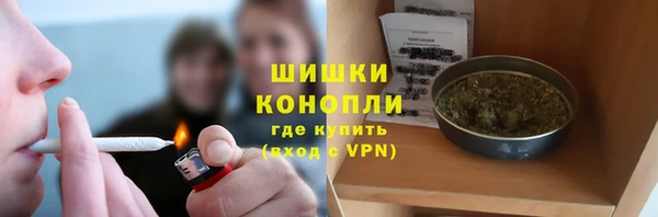 spice Новодвинск