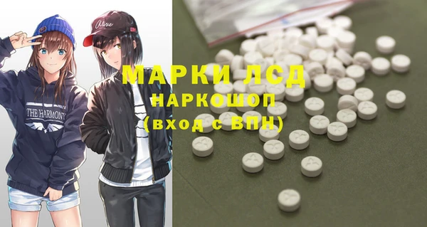 spice Новодвинск