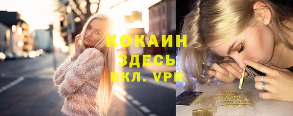 spice Новодвинск