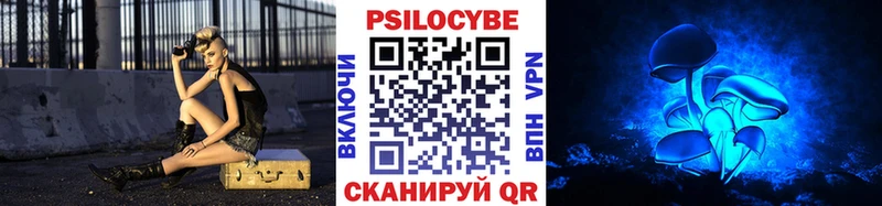Купить закладки Кадников Псилоцибиновые грибы Psilocybe