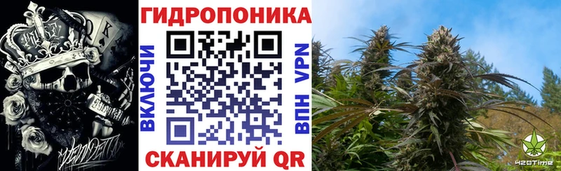 Конопля ГИДРОПОН  Купить закладки  Кадников 
